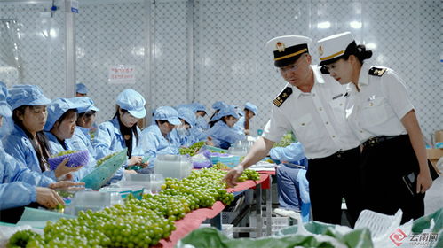 大理州2023年外貿(mào)進(jìn)出口總值大幅增長(zhǎng)78.8%，農(nóng)產(chǎn)品出口表現(xiàn)亮眼
