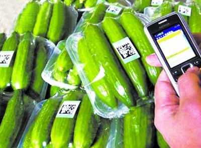 探索“掃碼觀菜、冷鏈出菜”新模式 讓農產品更安全直達餐桌